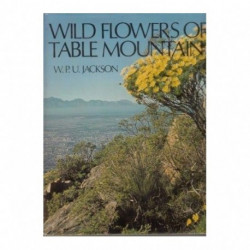Wild Flowers of Table Mountain