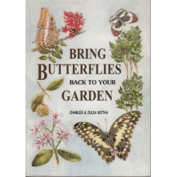 Bring Butterflies Back To Your Garden