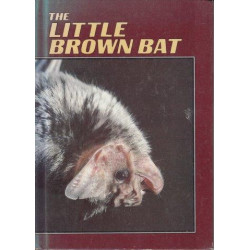 The Little Brown Bat
